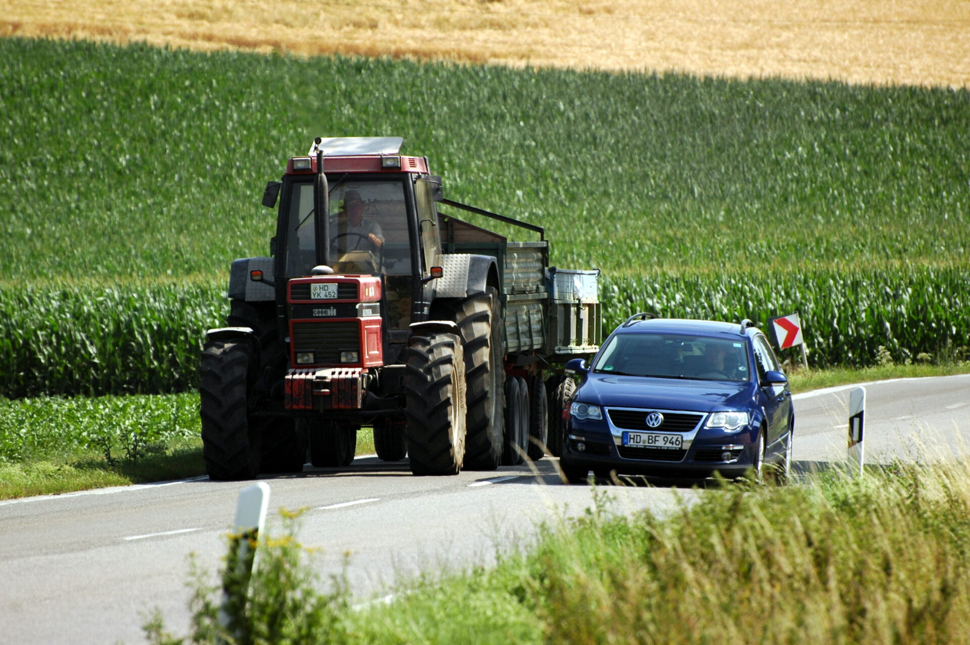 fot Radoslaw Drozdzewski Wikipedia › blue.works