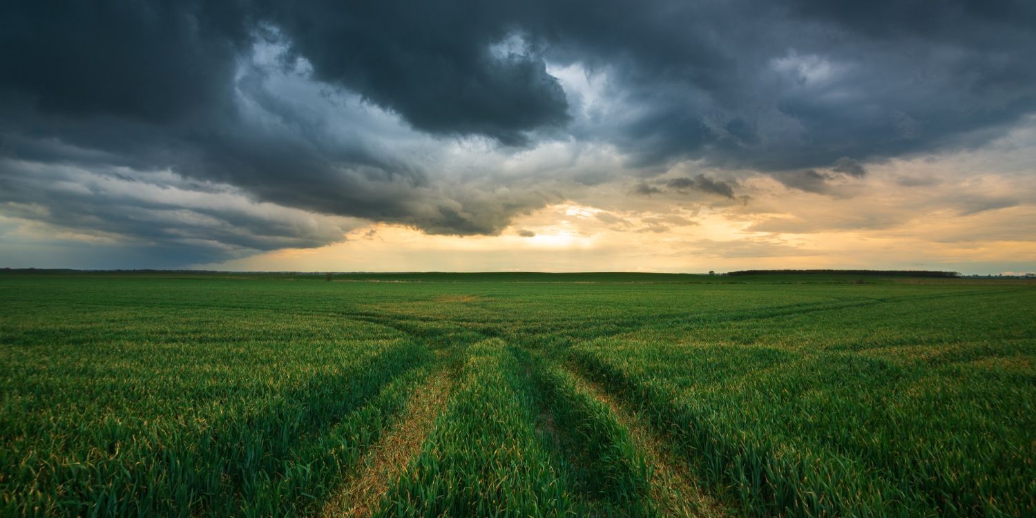 Stormy field